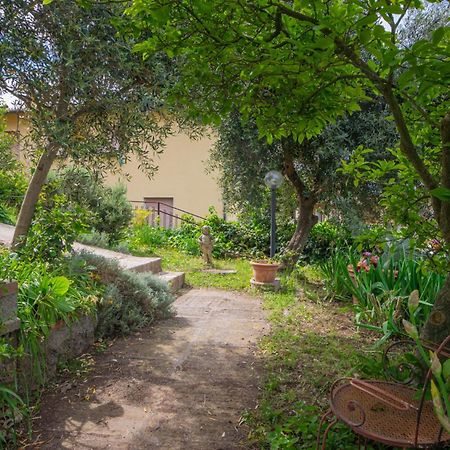 Villa Panoramica Garden Bike Massa Marittima Exteriér fotografie