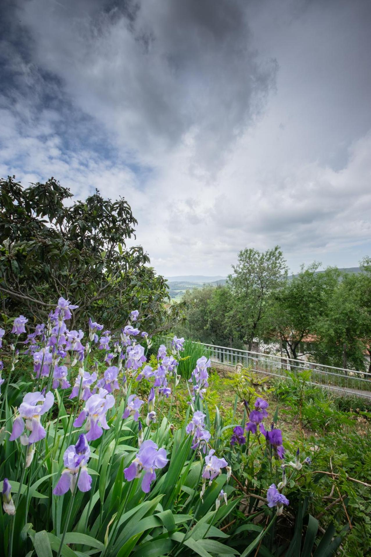 Villa Panoramica Garden Bike Massa Marittima Exteriér fotografie